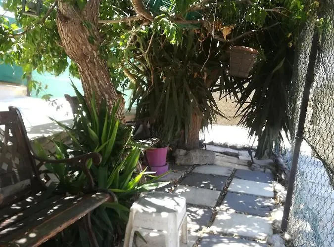 Golden Sunshine Paralimni